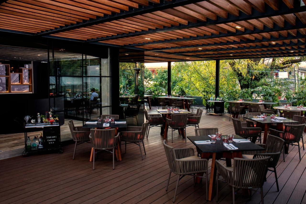 Krystal Grand Suites Insurgentes メキシコシティ エクステリア 写真 The Terrace